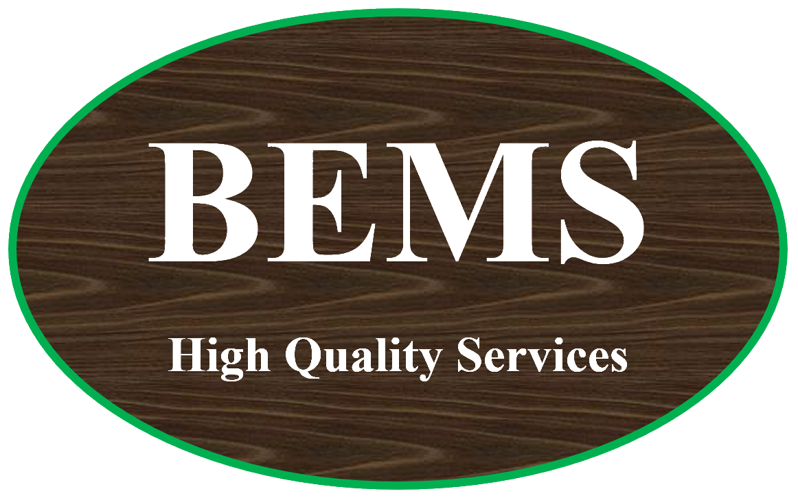 logo BEMS